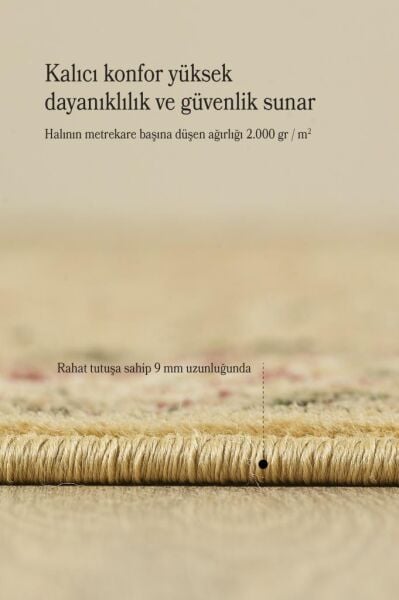 İran Halısı Bordürlü Çiçek Desenli Sık Dokuma Bej Halı Oturma Odası Halısı Salon Halısı