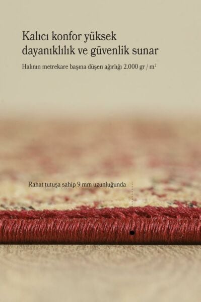 İran Halısı Bordürlü Motifli Sık Dokuma Kırmızı Halı Oturma Odası Halısı Salon Halısı