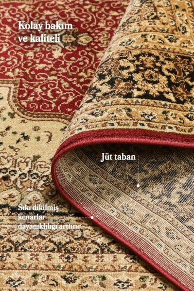 İran Halısı Bordürlü Madalyon Motifli Sık Dokuma Kırmızı Oturma Odası Halısı Salon Halısı