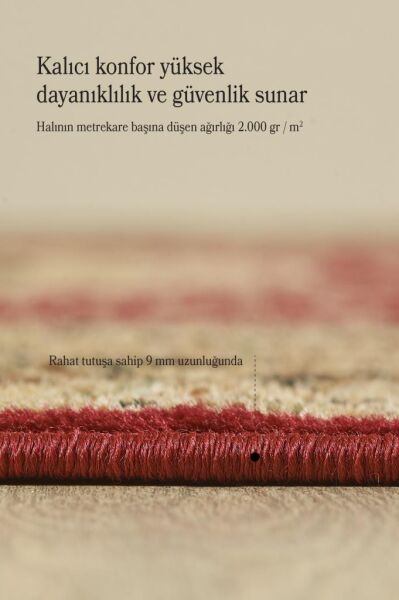 İran Halısı Bordürlü Madalyon Motifli Sık Dokuma Kırmızı Oturma Odası Halısı Salon Halısı