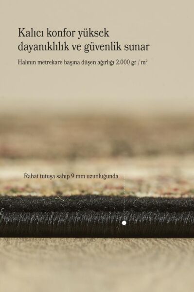 İran Halısı Bordürlü Madalyon Motifli Sık Dokuma Siyah Bej Oturma Odası Halısı Salon Halısı